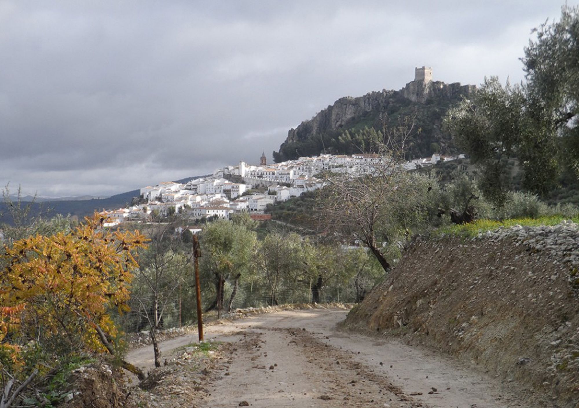 visitar los Pueblos Blancos y Ronda desde Sevilla